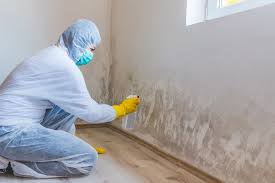 Why You Should Choose Our Mold Remediation Services in Beacon Square, FL